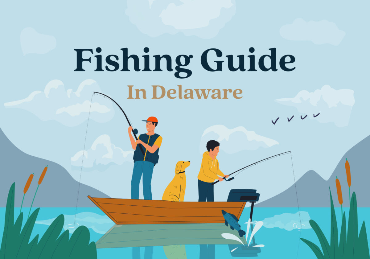 Fishing guide in Delaware