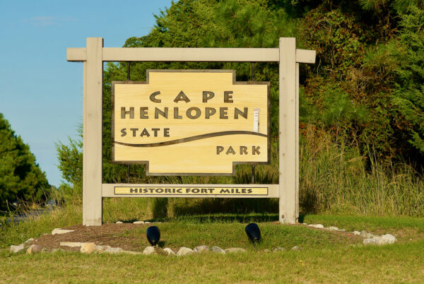 Cape Henlopen State Park Guide