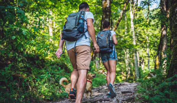 Best Hiking Routes In Delaware