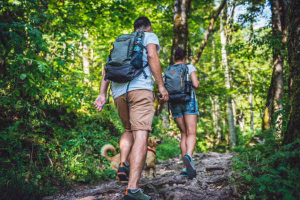 Best hiking routes in Delaware