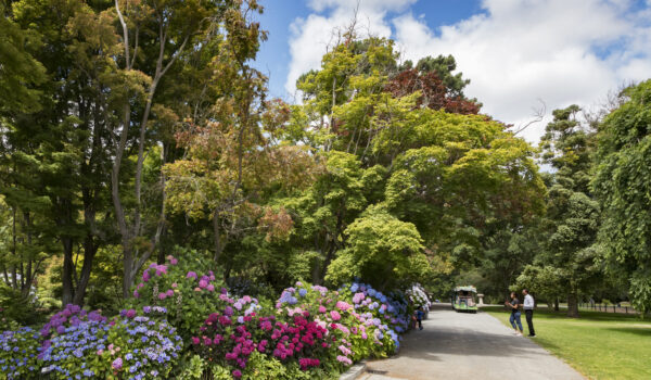 Garden Escapes: Exploring the Best Gardens in Lewes, DE